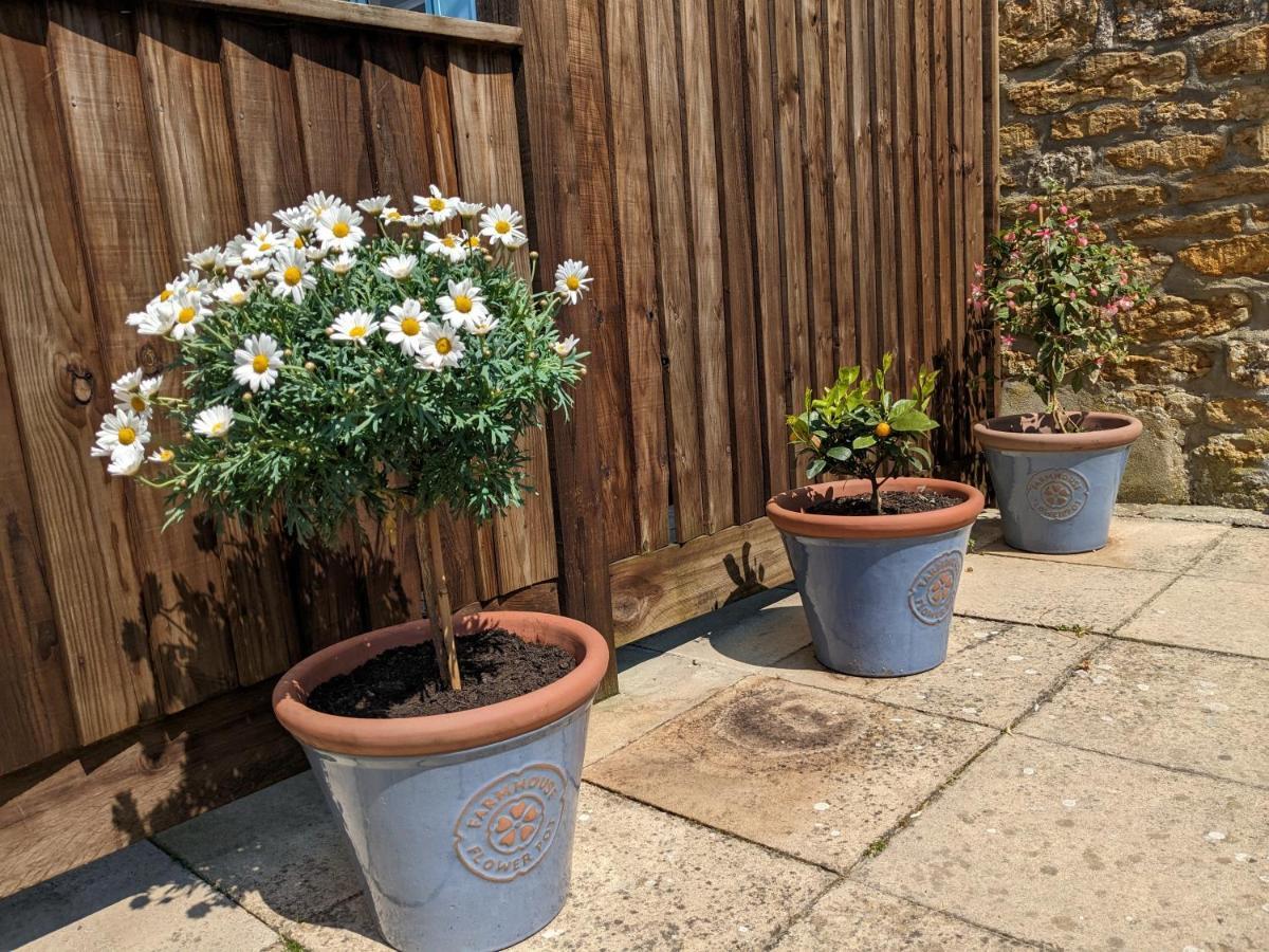 Barton Cottage Bridport Luaran gambar